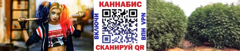 Конопля THC 21%  KRAKEN онион  Кувшиново  купить наркотики цена 